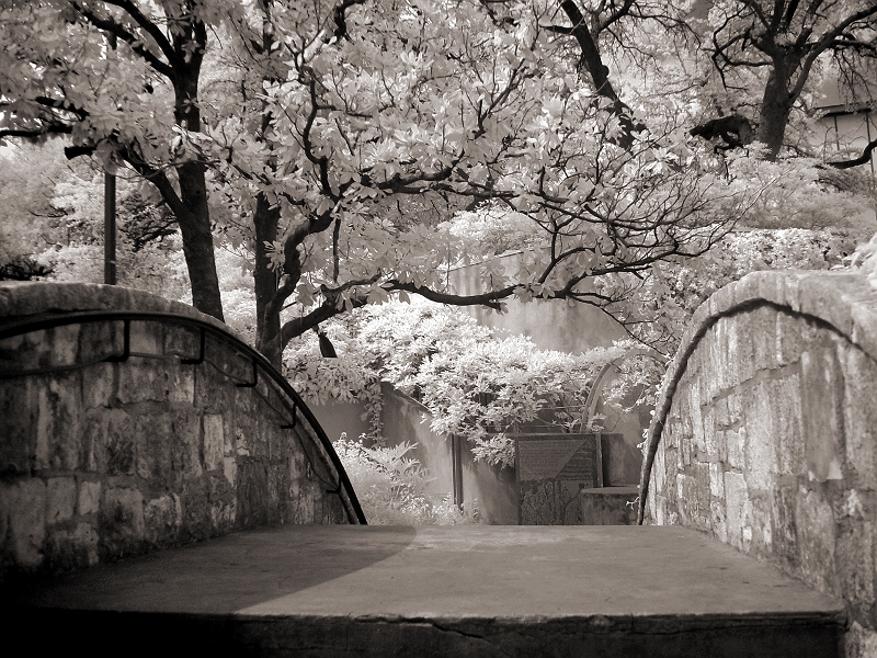 San Antonio Riverwalk 3 San Antonio, TX � Dave Hickey